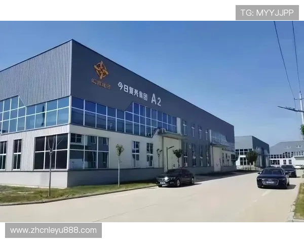 乐鱼科技有限公司的核心技术实力与行业竞争优势详细解析